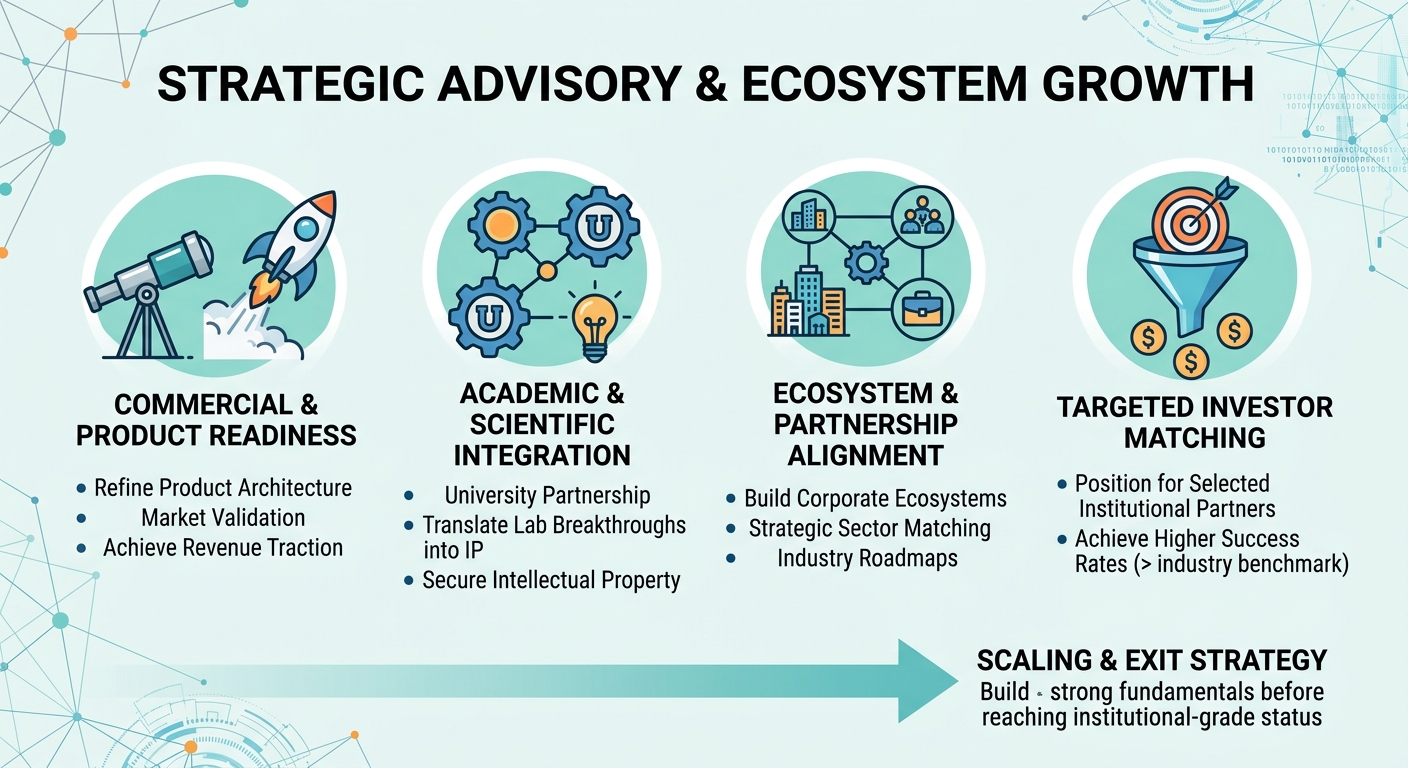Strategic Advisory Beyond Traditional Venture Capital for Scale-Ups and Research Spin-Outs Ethiopia